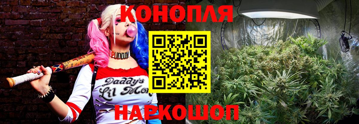МАРИХУАНА White Widow Новочеркасск